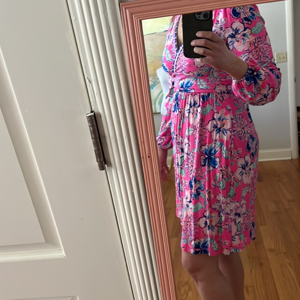 Lilly Pulitzer Carmilla Dress Pink Isle Last Bud Not Least 2 Preppy Coastal - Picture 6 of 16